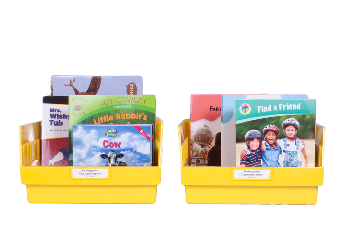 Kindergarten Classroom Library