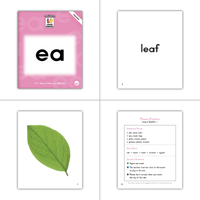 Letter Buddies Phonics Bundle