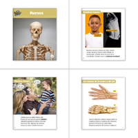 K-2 Nonfiction Dual Language Library