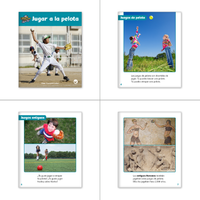 Spanish Level L Set (6-Packs)