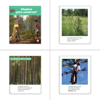 Spanish 2nd Grade Classroom Library (6-Packs)