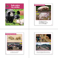 Spanish 1st Grade Nonfiction Classroom Library