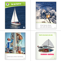 Spanish Kindergarten Classroom Library