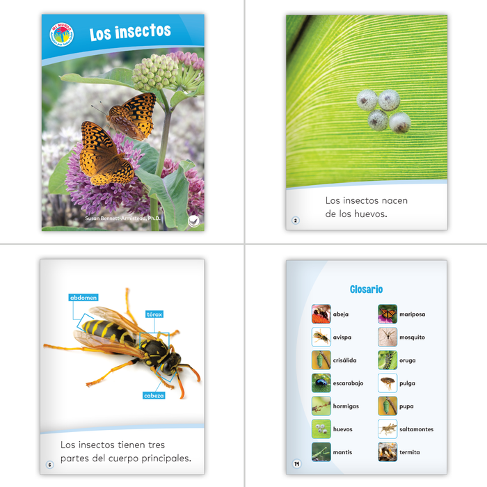 Spanish 1st Grade Nonfiction Classroom Library (6-Packs)