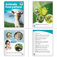 Animals Everywhere Theme Set (6-Packs) with Big Book