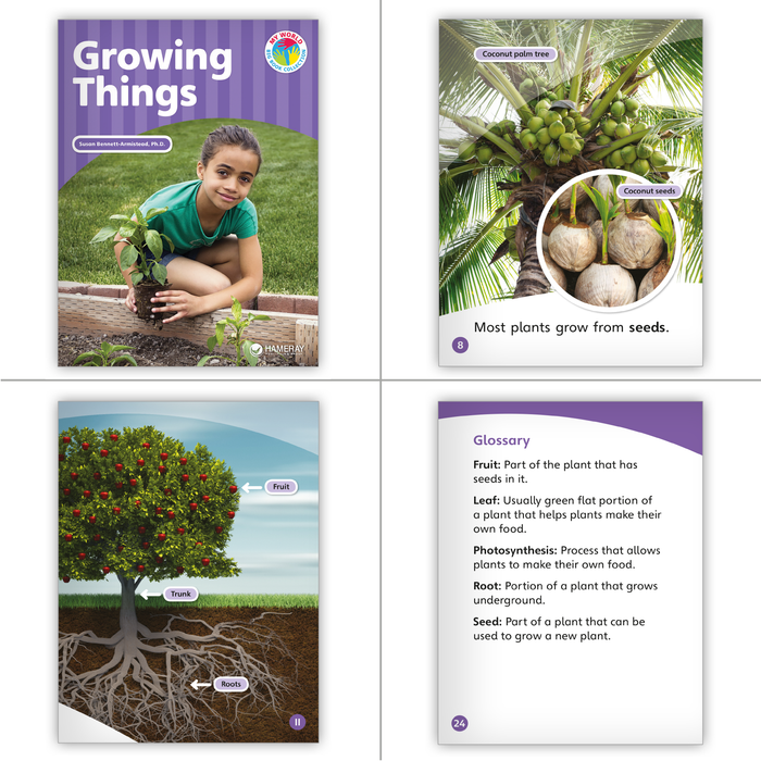 Growing Things Theme Set with Big Book