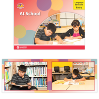 Language Structure Entry Set