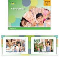 Our Senses Set