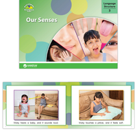 Our Senses Set