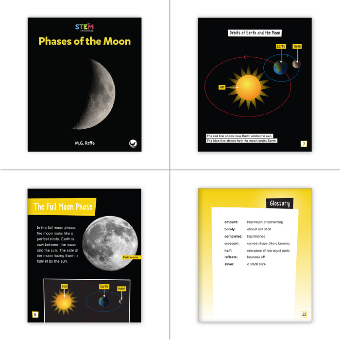Reading Bridge Fluency Set - Extended