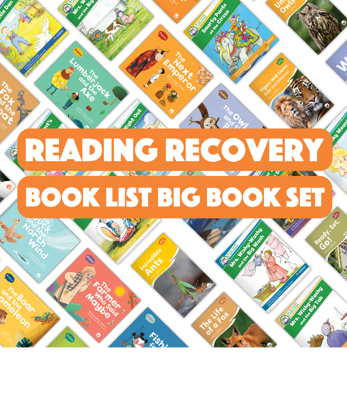 Reading Recovery Book List Big Book Set - Hameray Publishing