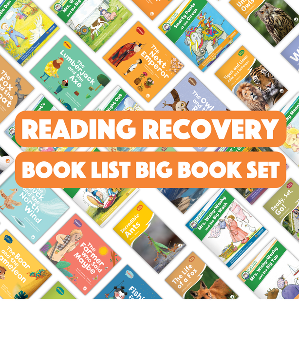 Reading Recovery Book List Big Book Set