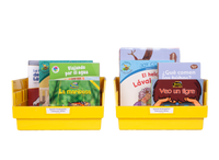 Spanish Kindergarten Classroom Library