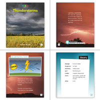 1st Grade Nonfiction Dual Language Library (6-Packs)