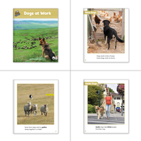 2nd Grade Nonfiction Dual Language Library (6-Packs)