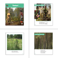 Level L Set (6-Packs)