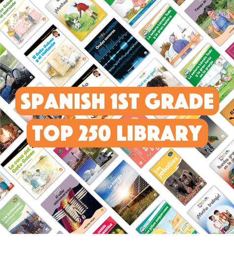 Spanish 1st Grade Top 250 Library