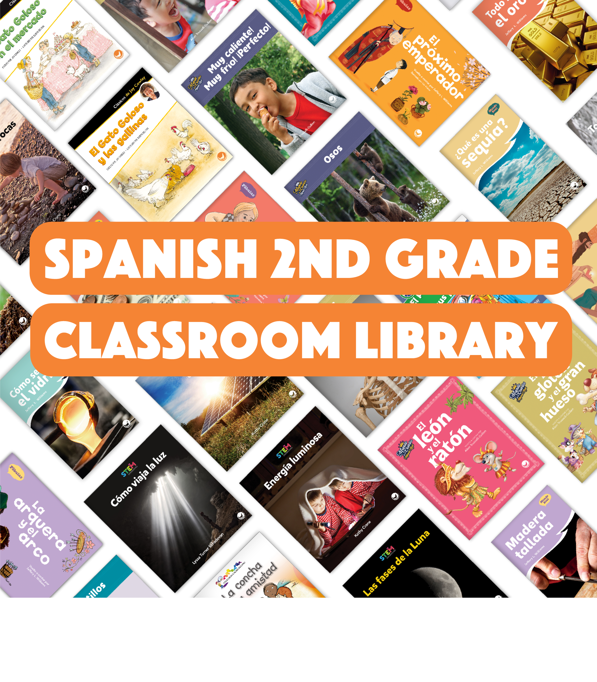 Spanish 2nd Grade Classroom Library