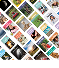 Spanish 2nd Grade Nonfiction Classroom Library