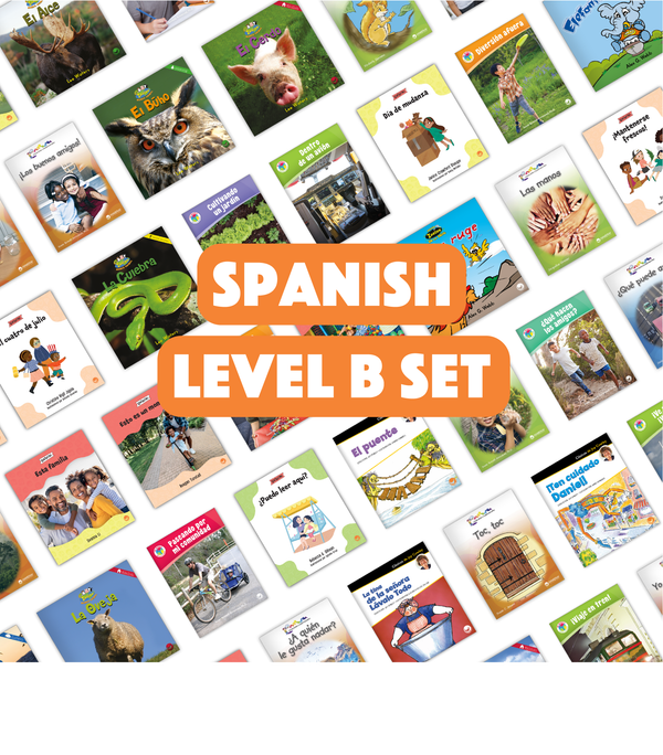 Spanish Level B Set