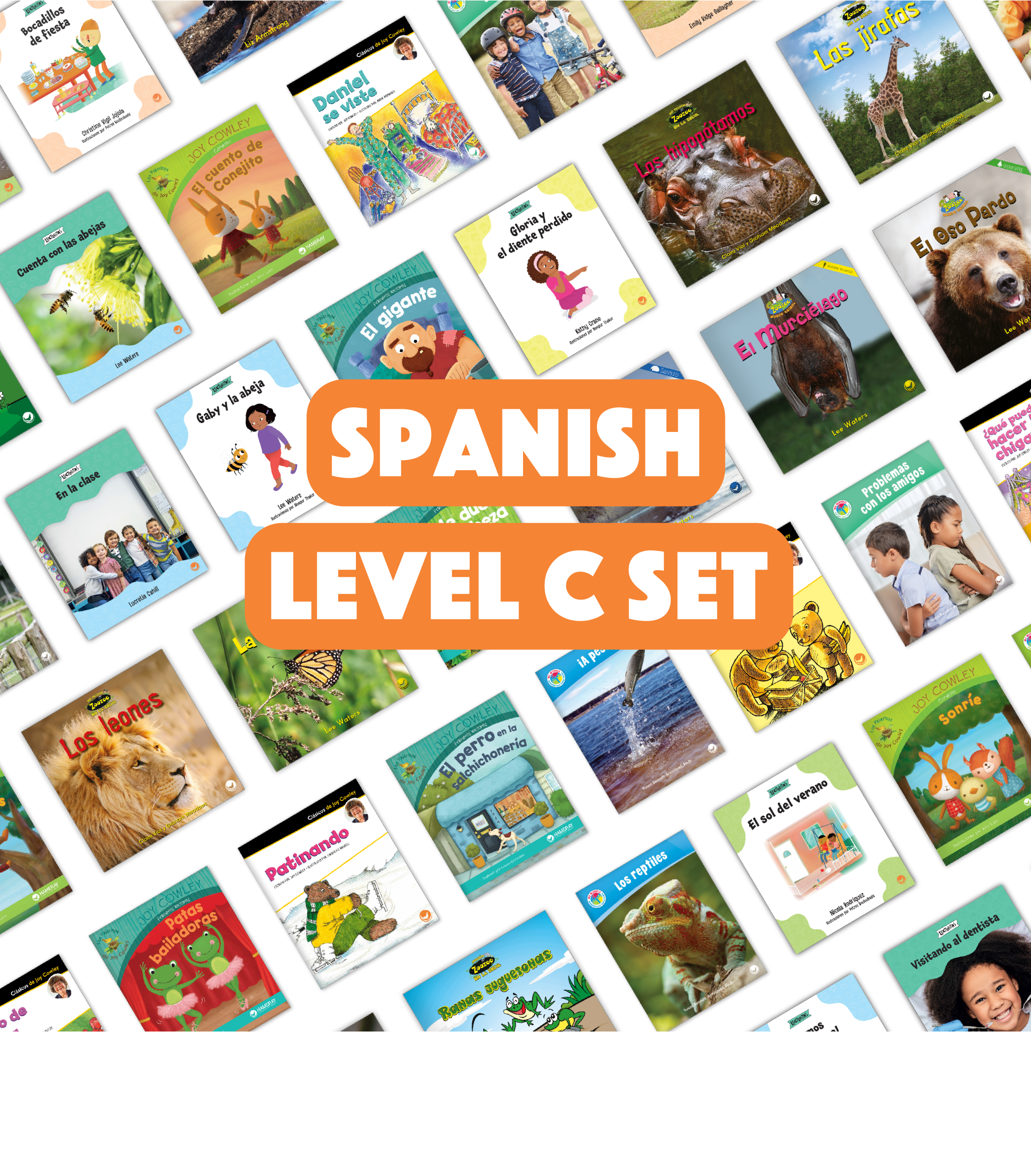 Spanish Level C Set