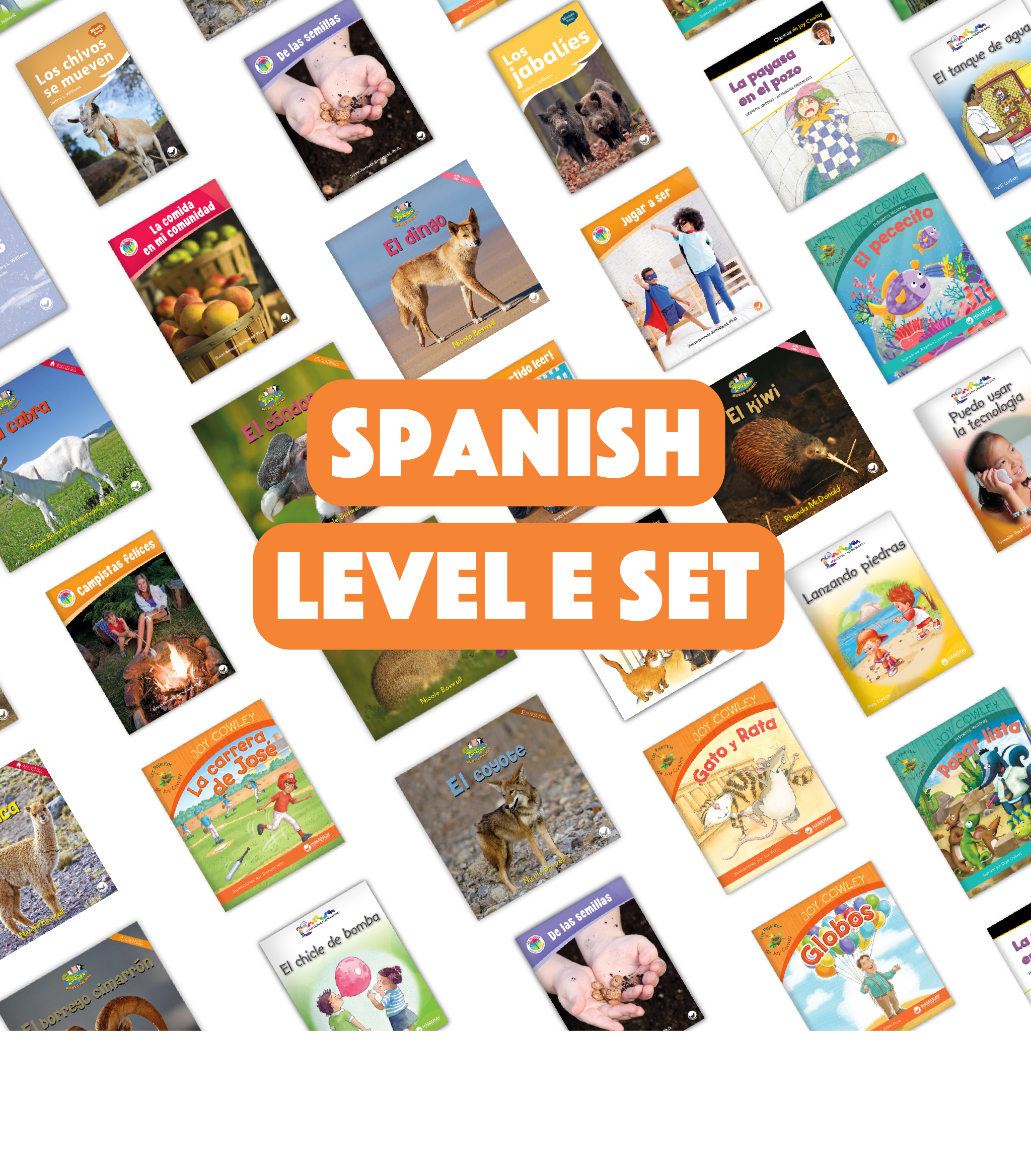Spanish Level E Set