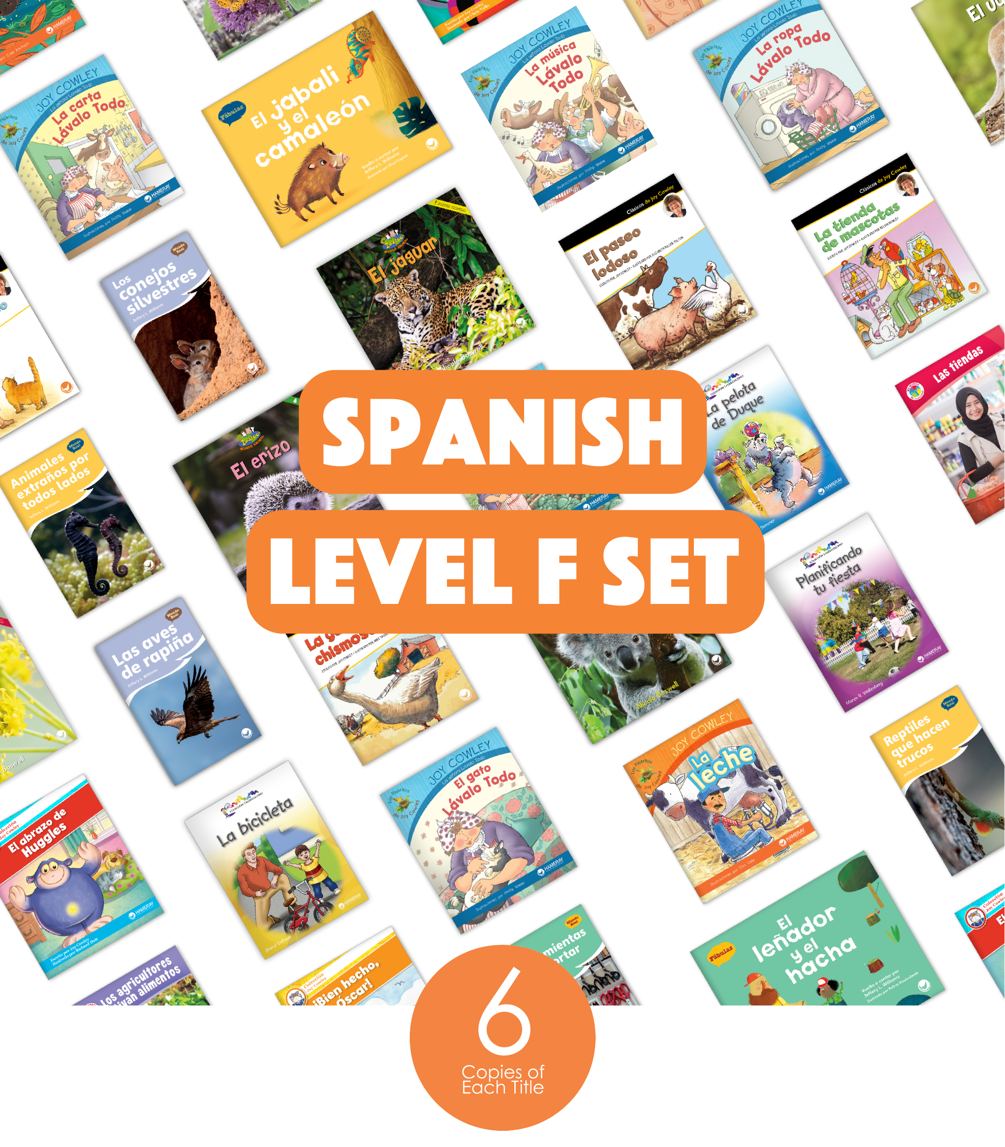 Spanish Level F Set (6-Packs)