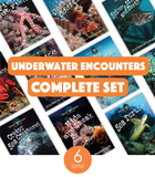 Underwater Encounters Complete Set (6-Packs)