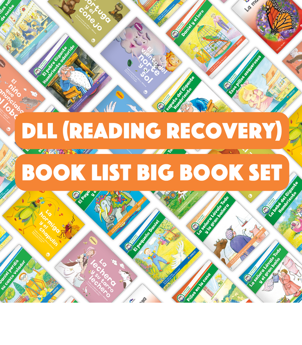 DLL (Reading Recovery) Book List Big Book Set