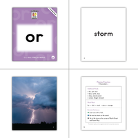 Letter Buddies Vowels Matter