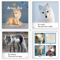 Animals Kindergarten Theme Set