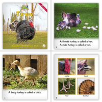 Dual Language Level F Set