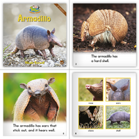 Zoozoo Animal World Big Book Combo Set