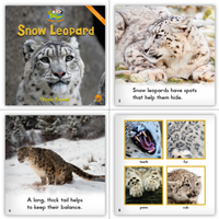 Zoozoo Animal World Big Book Combo Set