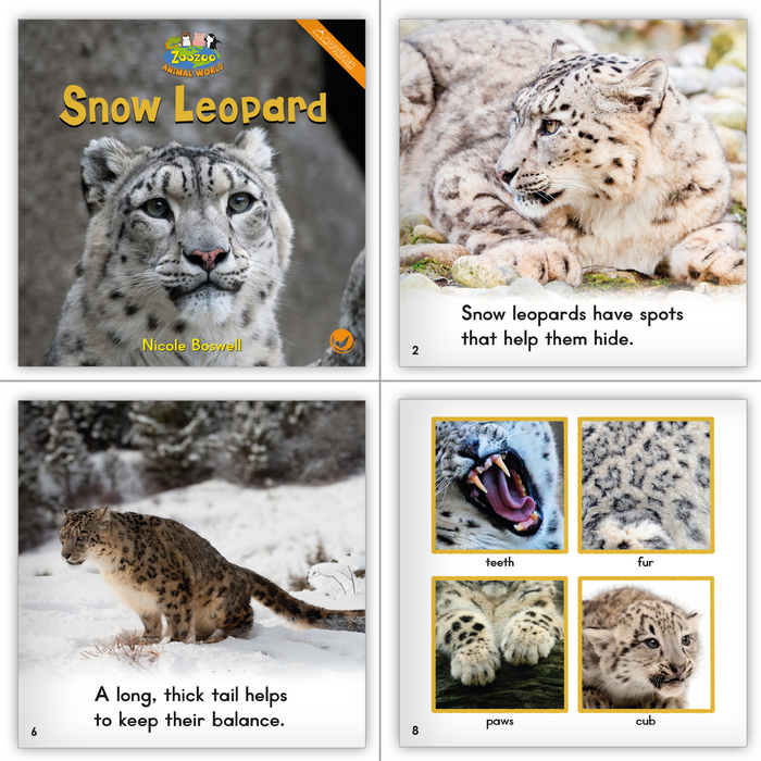 Hameray Big Book Combo Set