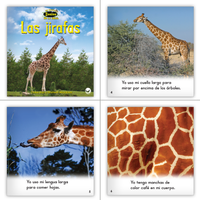 Spanish Level C Set (6-Packs)