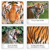 DLL (Reading Recovery) Book List Set (6-Packs)