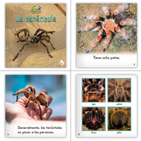 Spanish Level E Set (6-Packs)