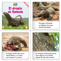 Spanish Level G Set (6-Packs)