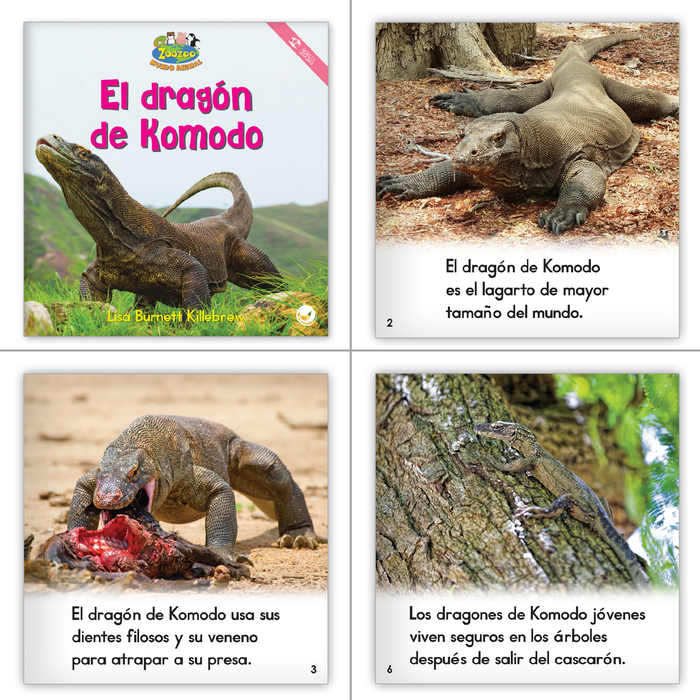 Zoozoo Mundo Animal Dual Language Guided Reading Set