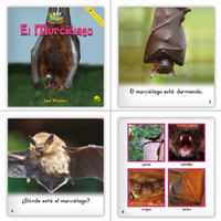 Spanish Level C Set (6-Packs)