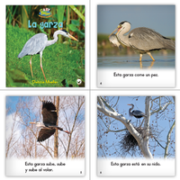 Spanish Level D Set (6-Packs)