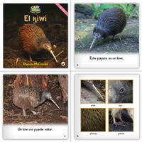 Spanish Kindergarten Classroom Library