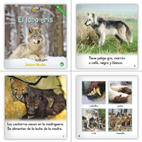 Spanish 1st Grade Nonfiction Classroom Library (6-Packs)