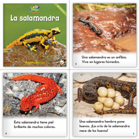 Zoozoo Mundo Animal Humedal Habitat Set (6-Packs)