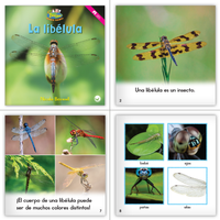 Dual Language Level E Set