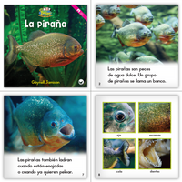 Zoozoo Mundo Animal Río Habitat Set (6-Packs)