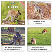 Zoozoo Mundo Animal Isla Habitat Set (6-Packs)