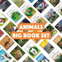 Animals Big Book Set