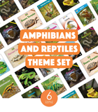 Amphibians & Reptiles Theme Set (6-Packs)
